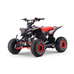 Benzínová čtyřkolka pro děti Beneo Motors ZXY červená - 125cm3
