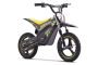 Dětská elektrická minicross motorka ROOKIE X 24V (14